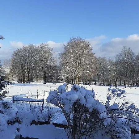 Сasa de vacaciones Haus Wiesenblick Comfortable Holiday