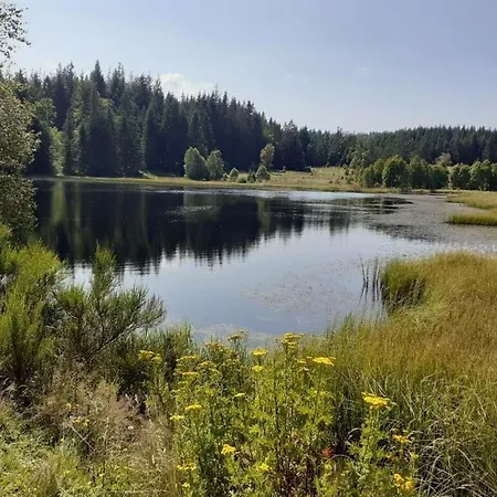 Haus Wiesenblick Comfortable Holiday Сasa de vacaciones